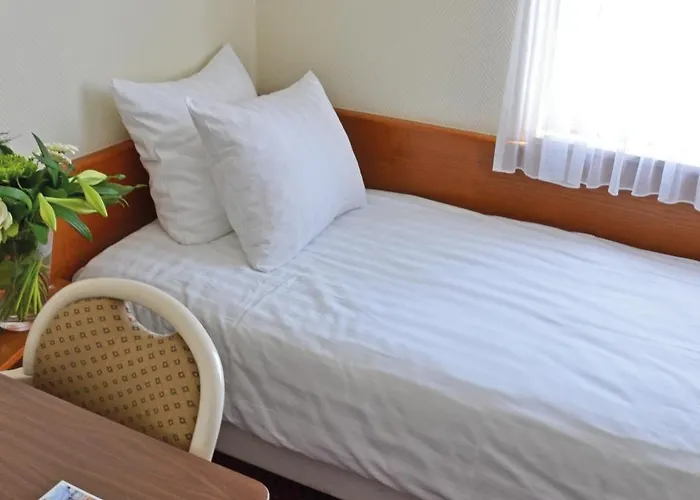 Fletcher De Zalm Hotel 3*