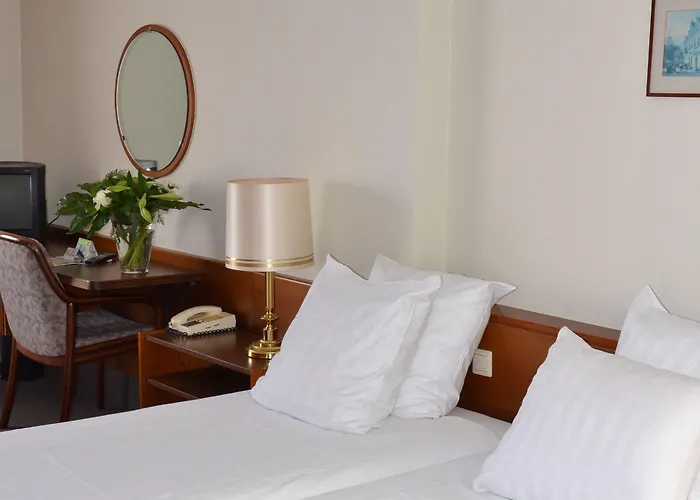 Hotel Fletcher De Zalm 3*