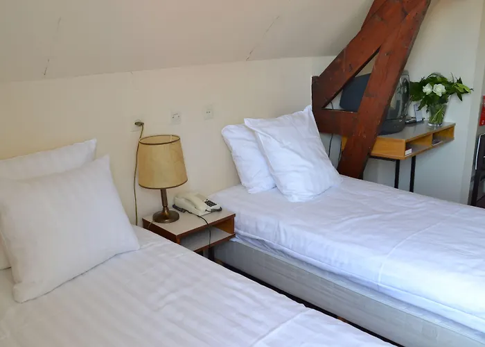 Hotel Fletcher De Zalm