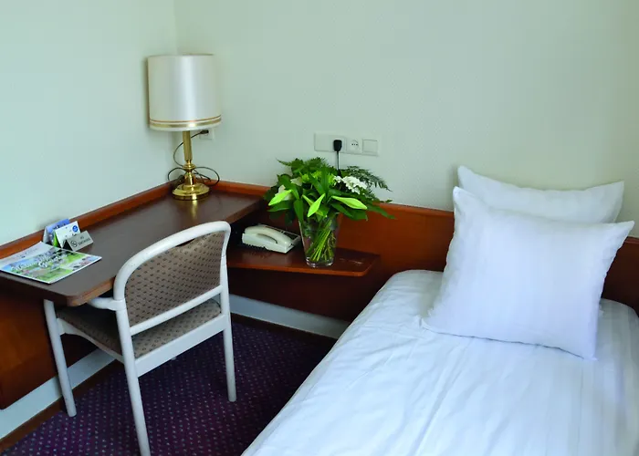 Hotel Fletcher De Zalm 3*