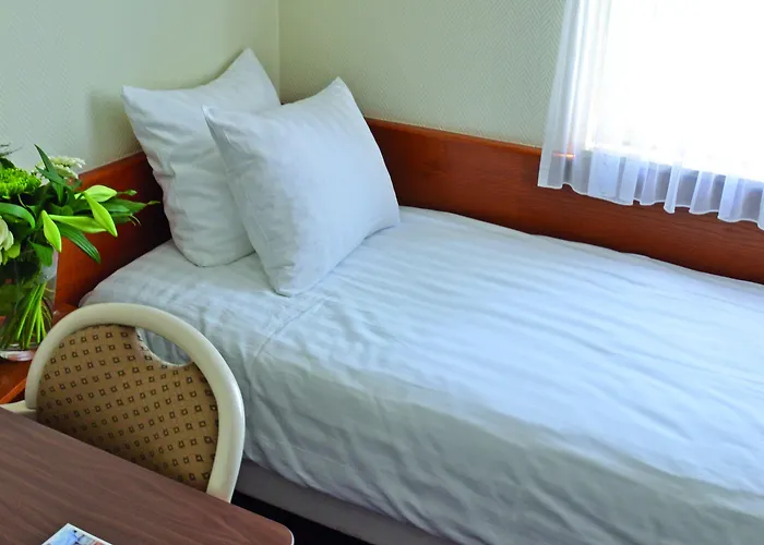 Hotel Fletcher De Zalm 3*